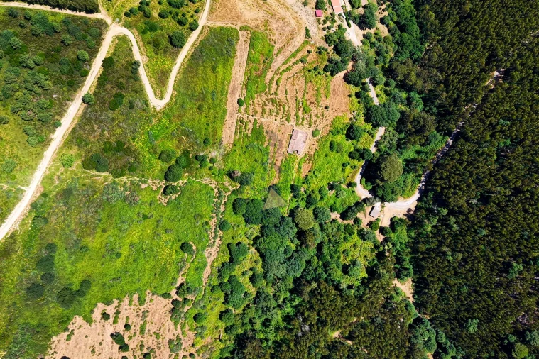 Quinta para Venda em Monchique Foto 43