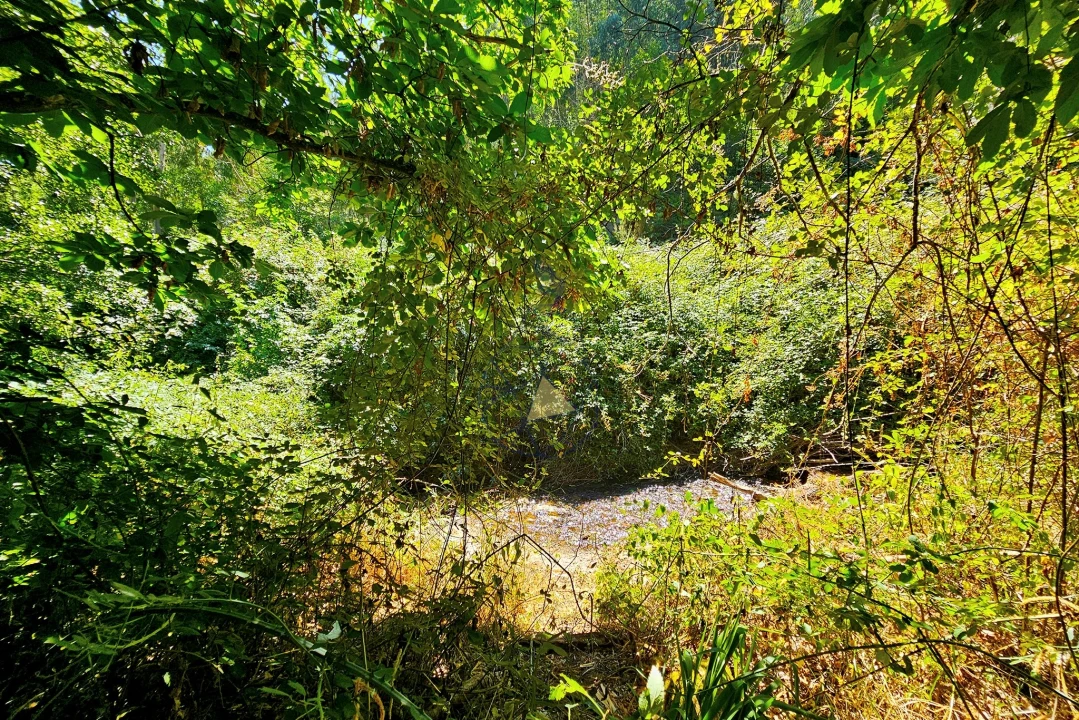 Quinta para Venda em Monchique Foto 53