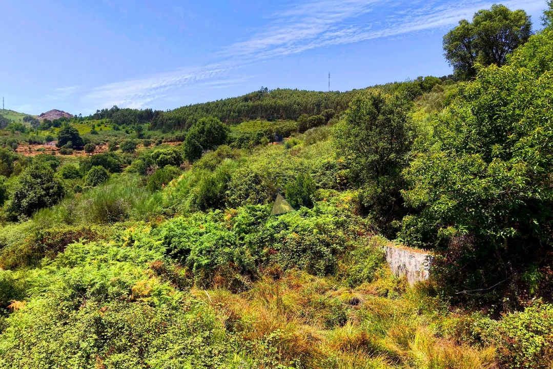 Quinta para Venda em Monchique Foto 39