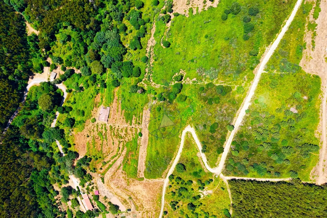 Quinta para Venda em Monchique Foto 73
