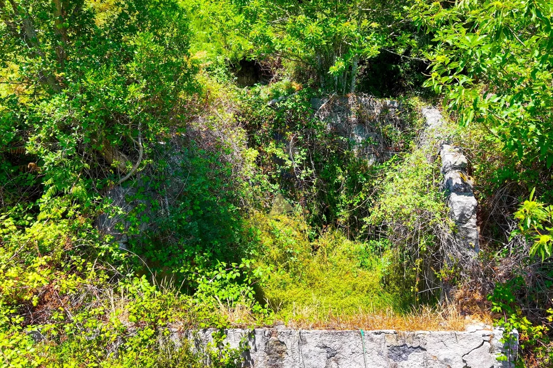 Quinta para Venda em Monchique Foto 40