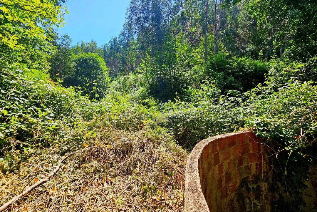 Quinta para Venda em Monchique Foto 48
