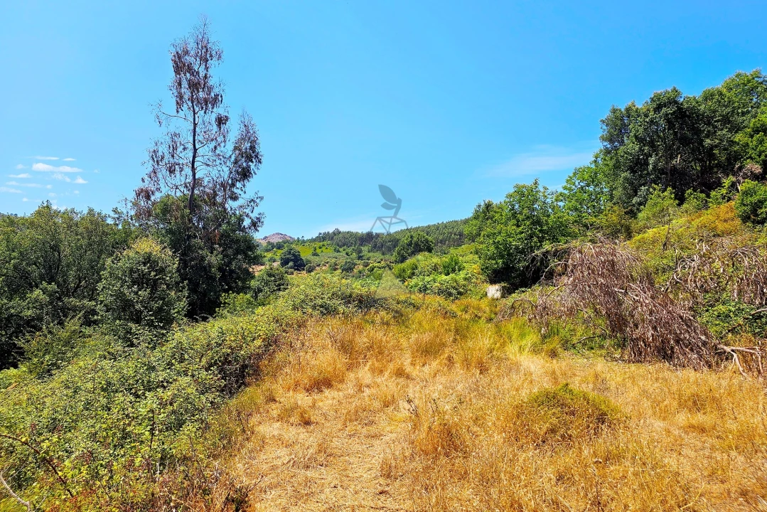 Quinta para Venda em Monchique Foto 38