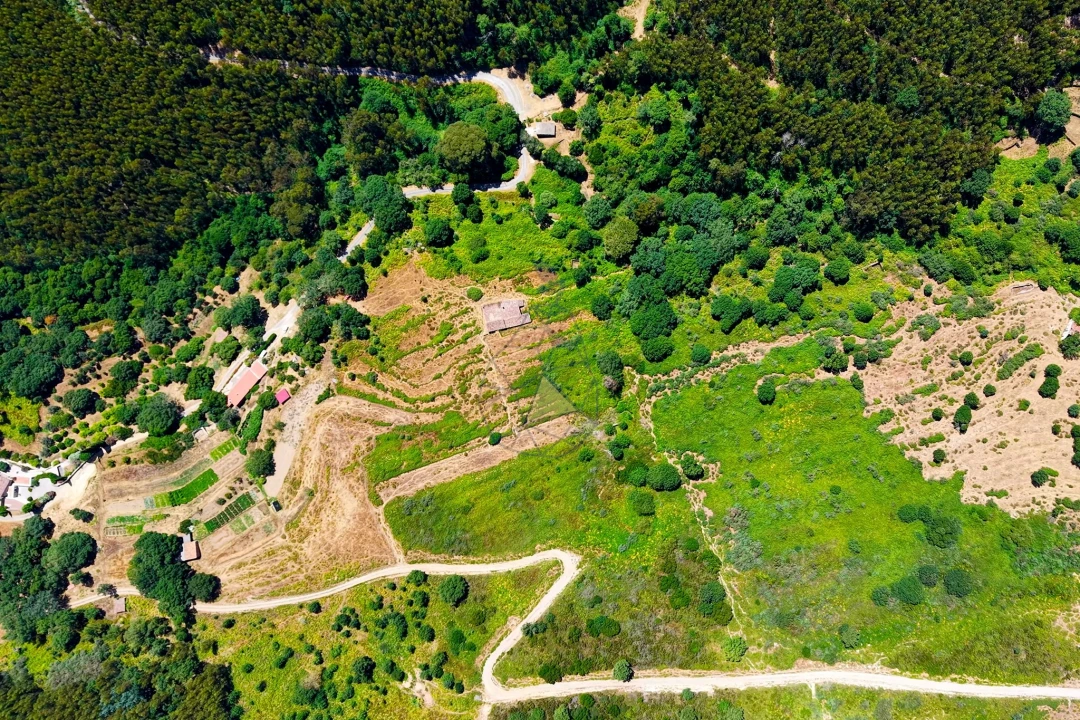 Quinta para Venda em Monchique Foto 42