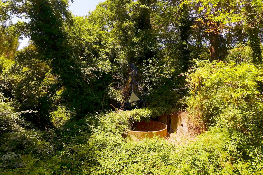 Quinta para Venda em Monchique Foto 47