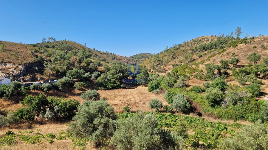 Moradia T1 para Venda em Cachopo Foto 13