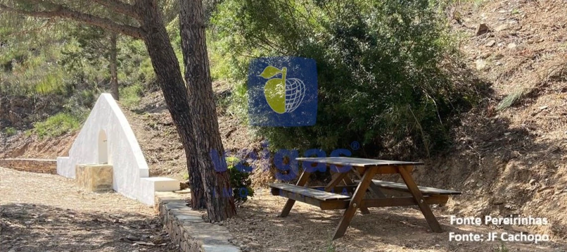 Moradia T1 para Venda em Cachopo Foto 39