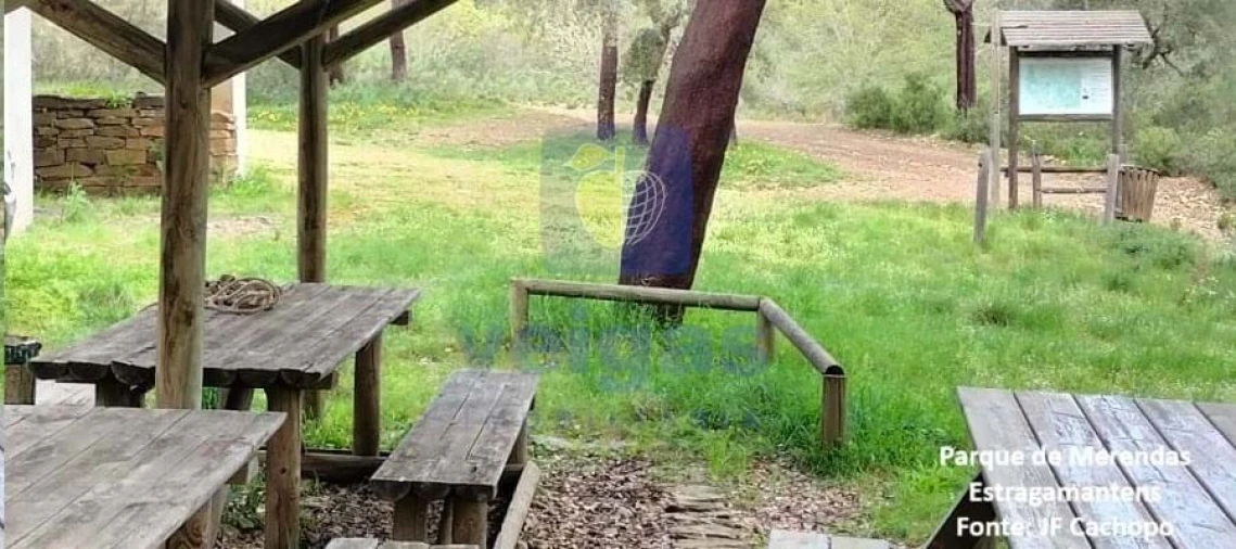 Moradia T1 para Venda em Cachopo Foto 41