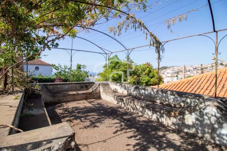 Prédio para Venda em Funchal (Santa Luzia) Foto 43