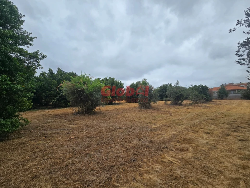 Terreno para Venda em Viseu Foto 2
