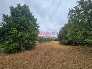 Terreno para Venda em Viseu