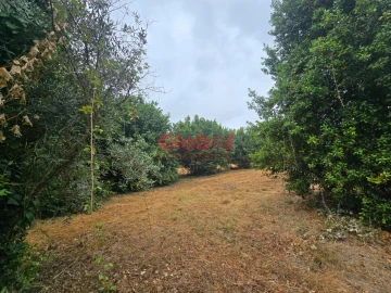 Terreno para Venda em Viseu