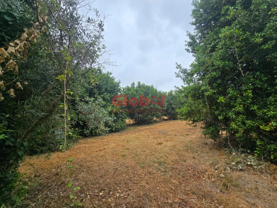 Terreno para Venda em Viseu Foto 4