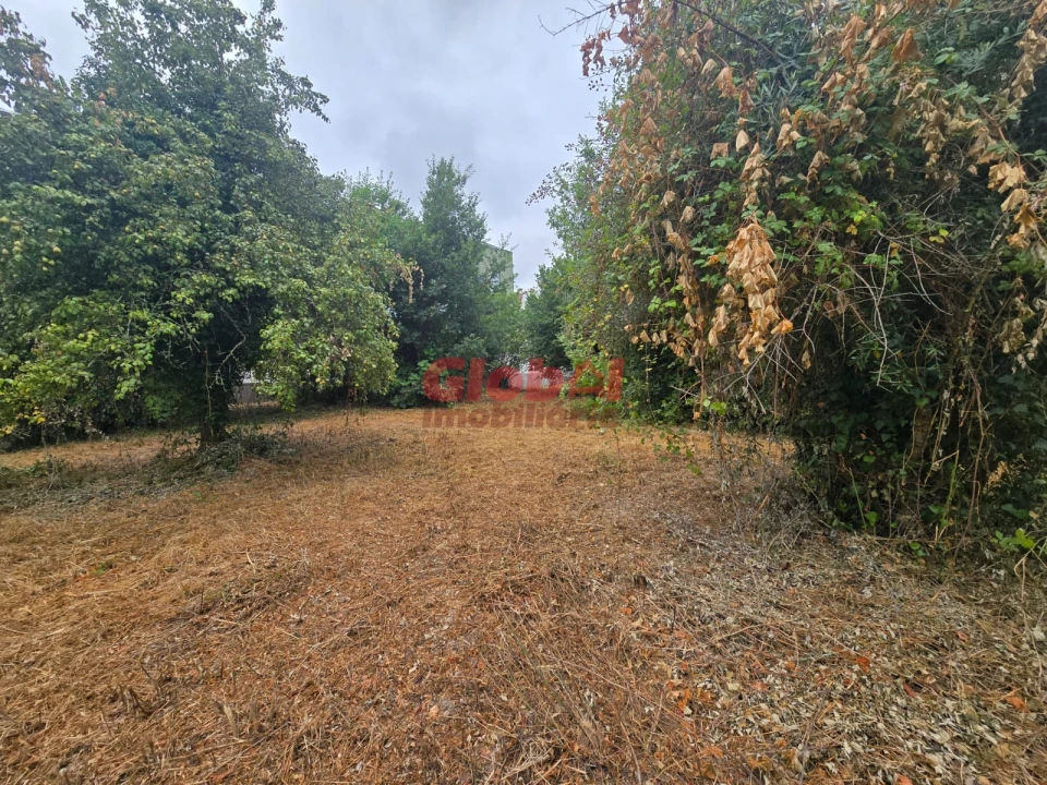 Terreno para Venda em Viseu Foto 1