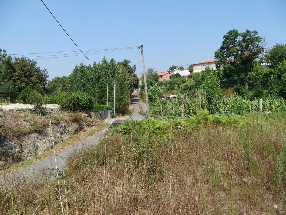 Terreno para Venda em Antime e Silvares (São Clemente) Foto 4
