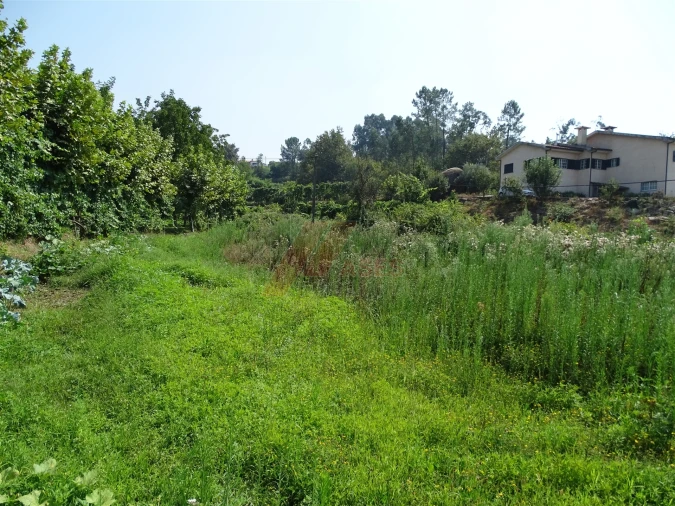 Terreno para Venda em Antime e Silvares (São Clemente) Foto 2