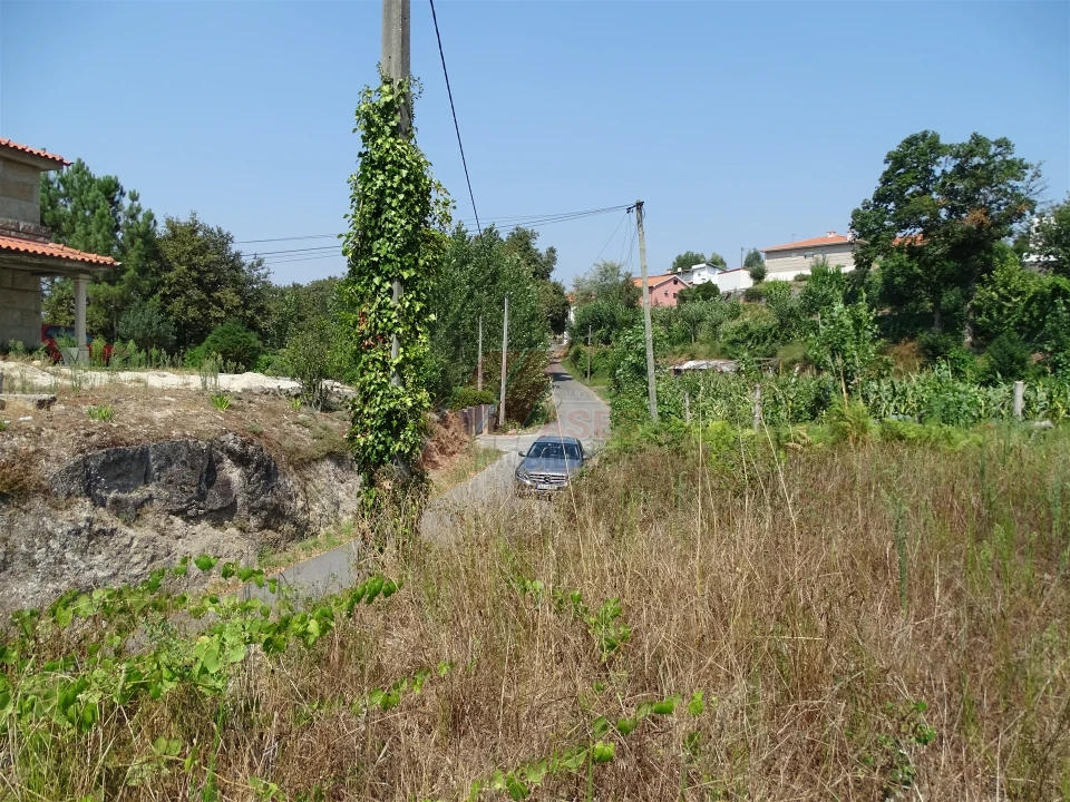 Terreno para Venda em Antime e Silvares (São Clemente) Foto 6