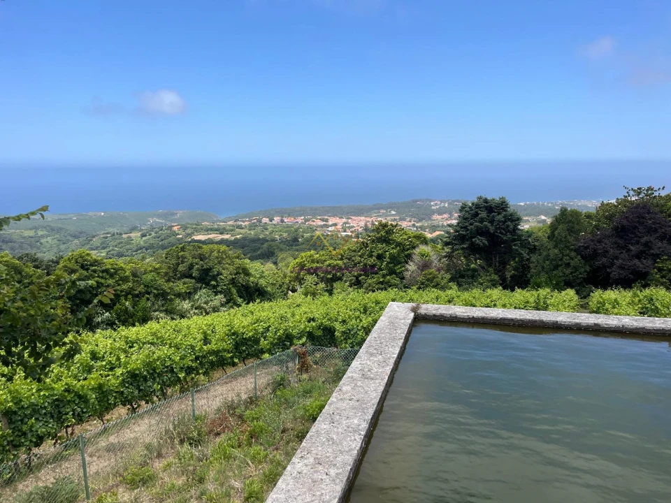 Quinta T7 para Venda em Colares Foto 1