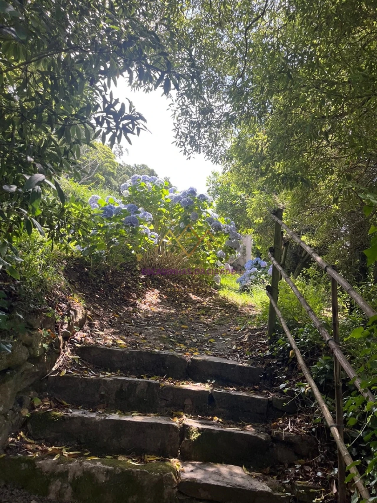 Quinta T7 para Venda em Colares Foto 48