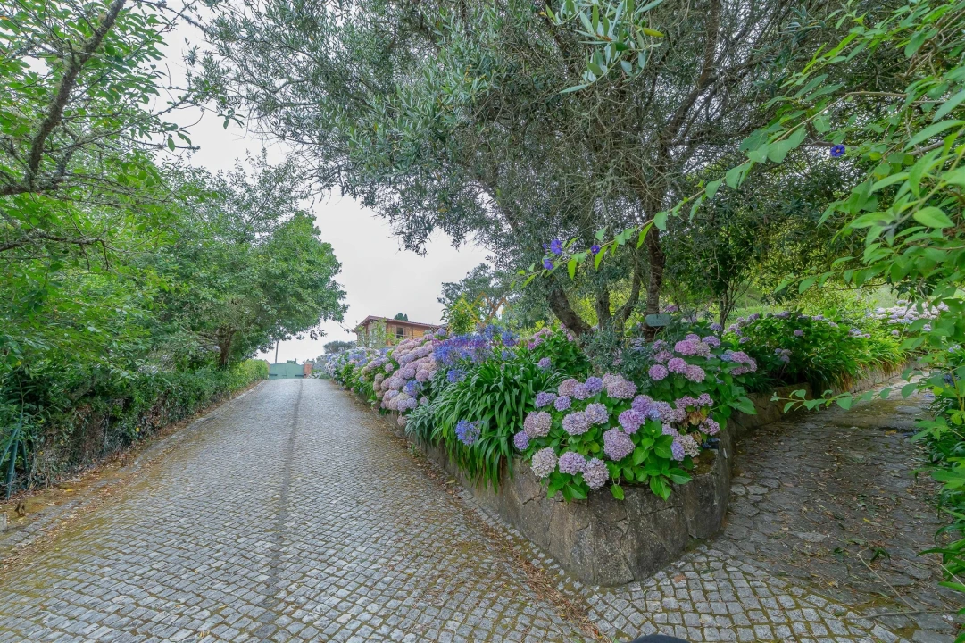 Quinta T7 para Venda em Colares Foto 27