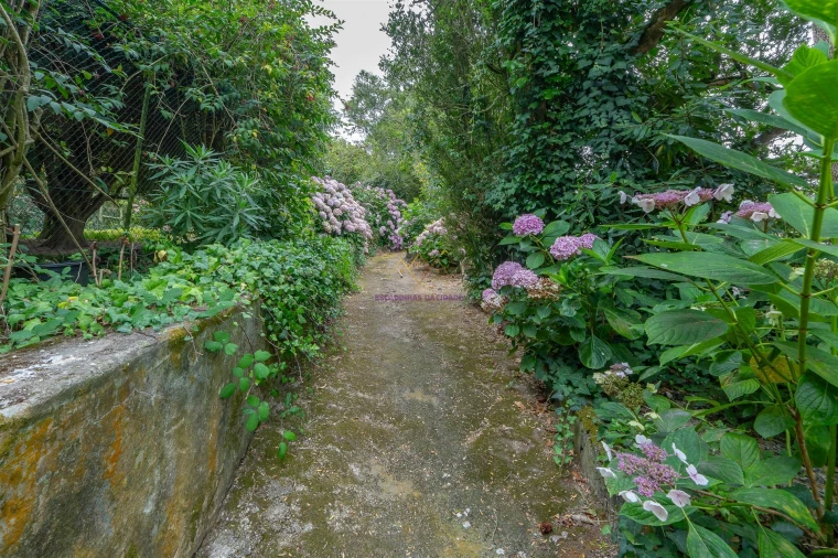 Quinta T7 para Venda em Colares Foto 5