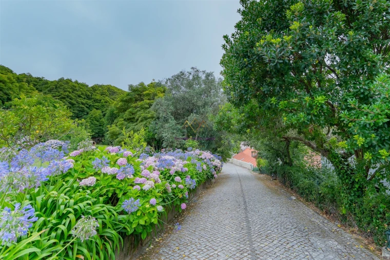 Quinta T7 para Venda em Colares Foto 35