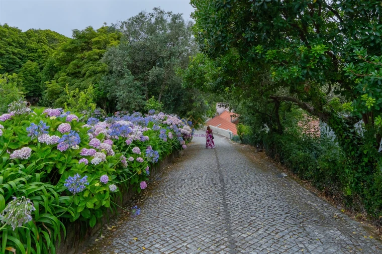 Quinta T7 para Venda em Colares Foto 34