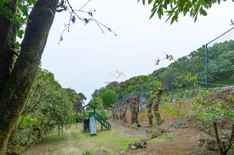Quinta T7 para Venda em Colares Foto 36