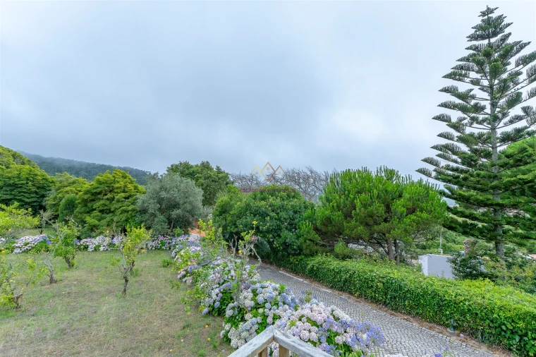 Quinta T7 para Venda em Colares Foto 30