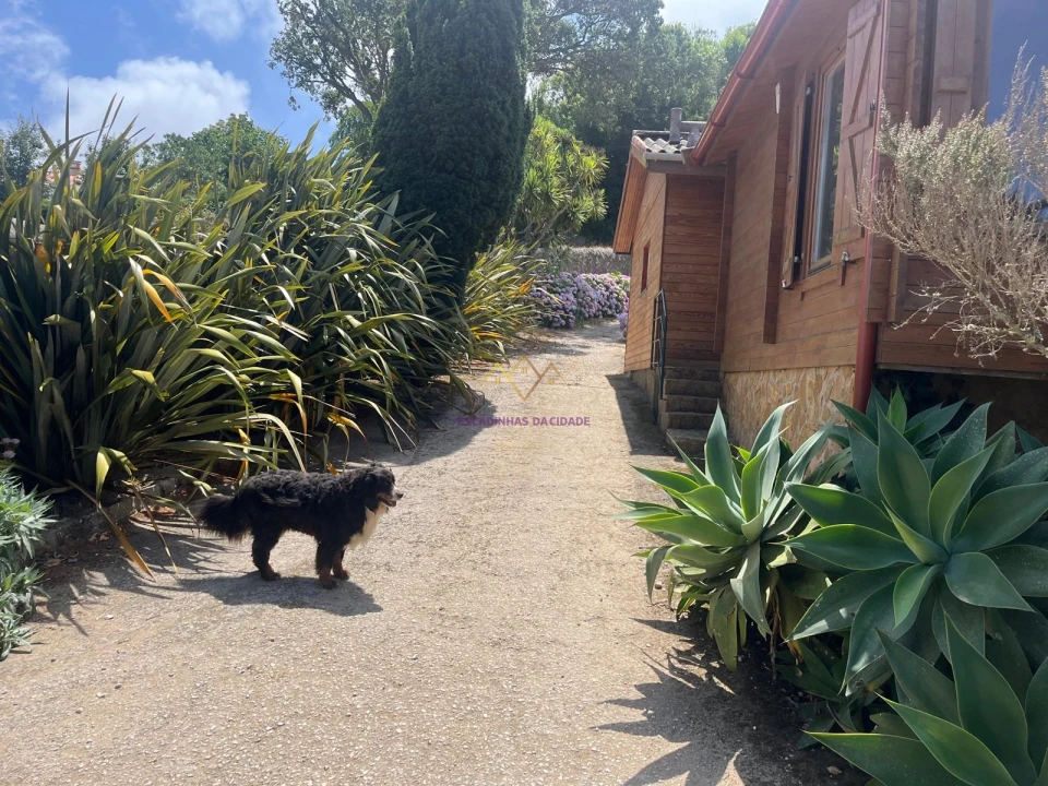 Quinta T7 para Venda em Colares Foto 44