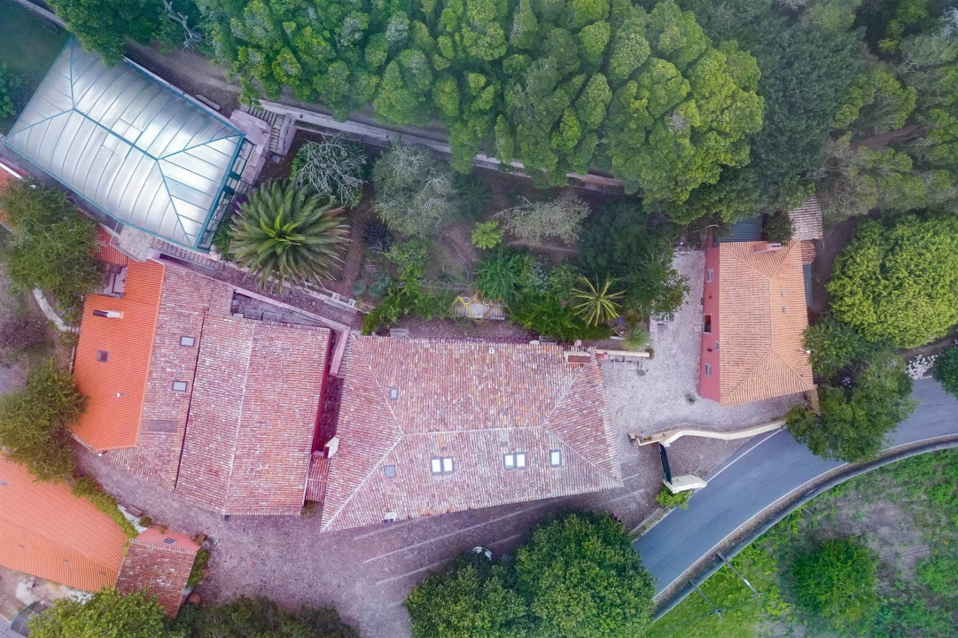 Quinta T7 para Venda em Colares Foto 4