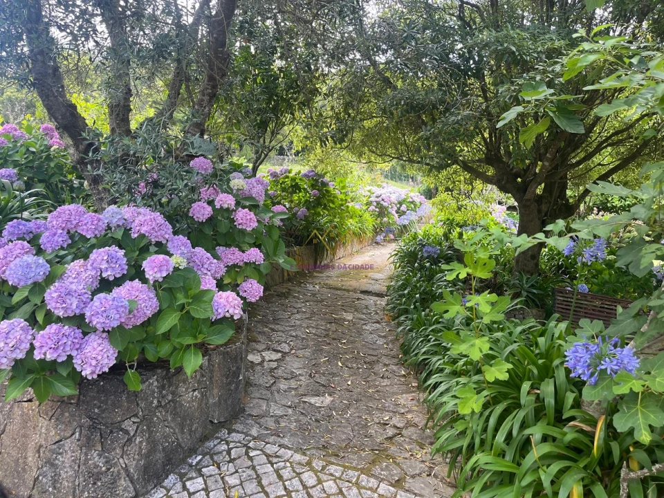 Quinta T7 para Venda em Colares Foto 40