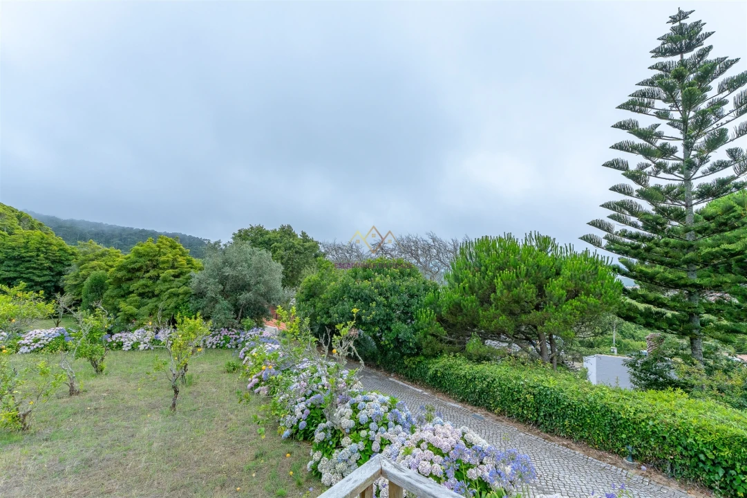 Quinta T7 para Venda em Colares Foto 30