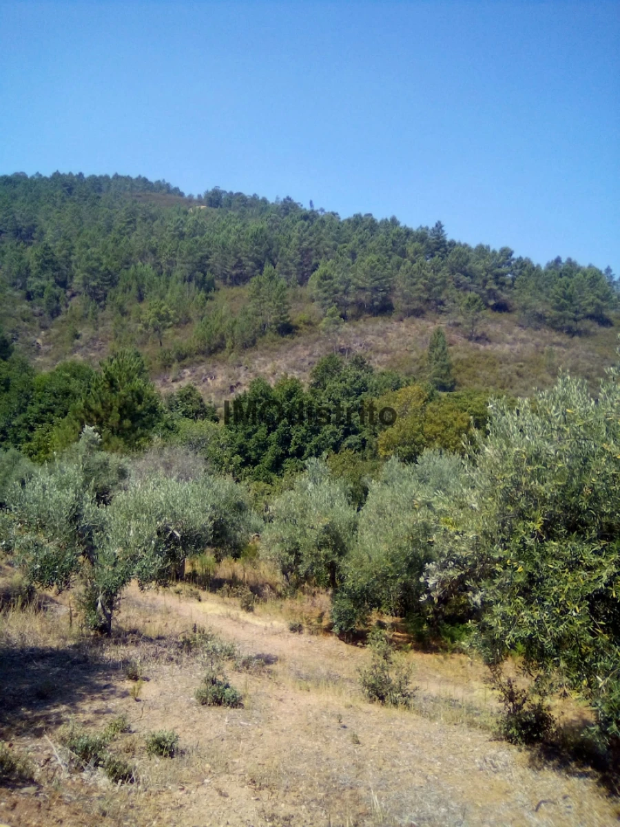 Quinta T4 para Venda em Reguengo e São Julião Foto 29