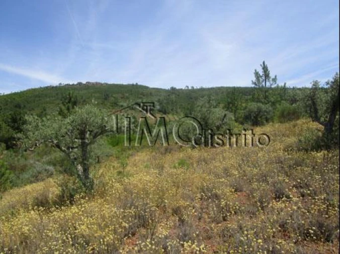 Quinta T4 para Venda em Reguengo e São Julião Foto 20