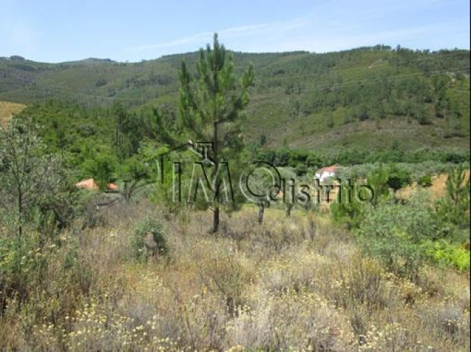 Quinta T4 para Venda em Reguengo e São Julião Foto 22