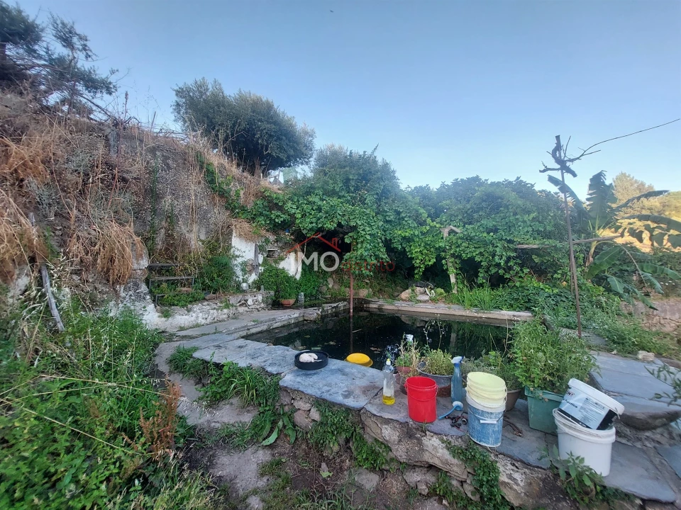 Quinta T3 para Venda em Sé e São Lourenço Foto 7