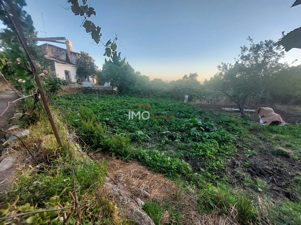 Quinta T3 para Venda em Sé e São Lourenço Foto 8