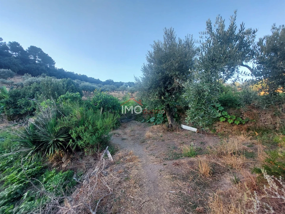 Quinta T3 para Venda em Sé e São Lourenço Foto 5