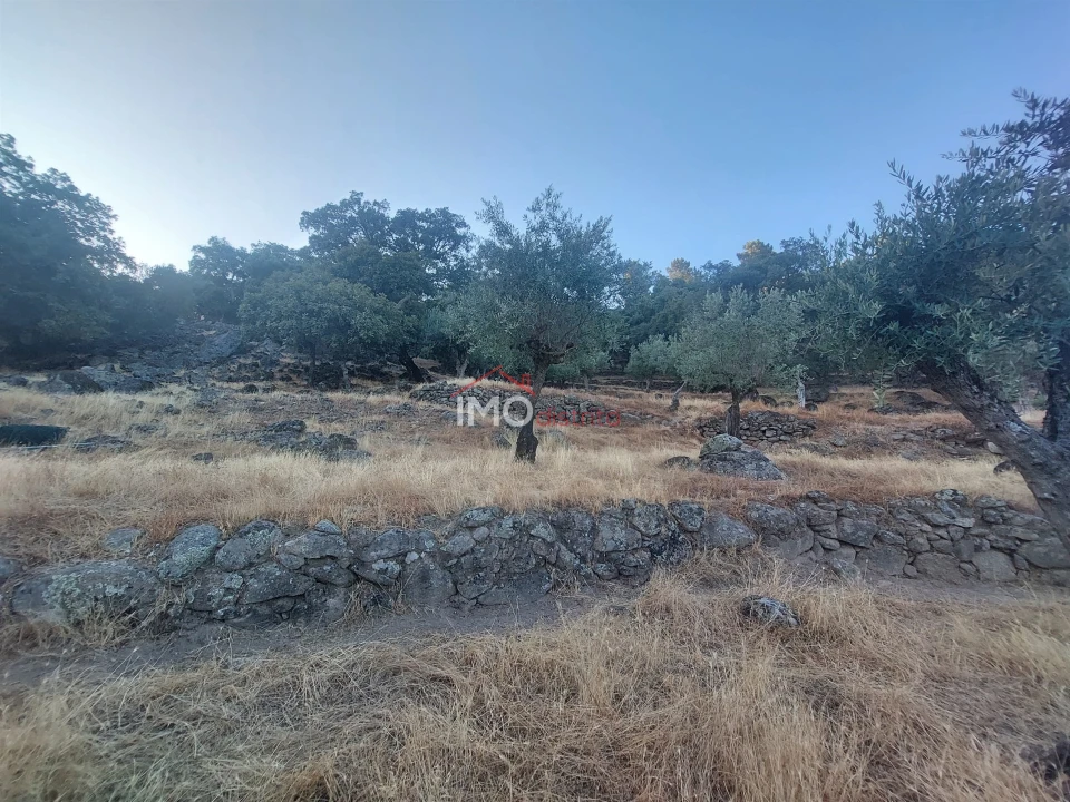 Quinta T3 para Venda em Sé e São Lourenço Foto 15