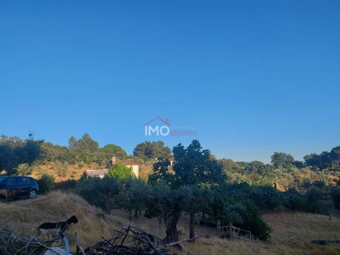 Quinta T3 para Venda em Sé e São Lourenço Foto 13