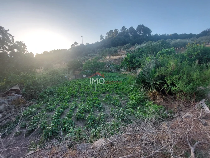 Quinta T3 para Venda em Sé e São Lourenço Foto 4