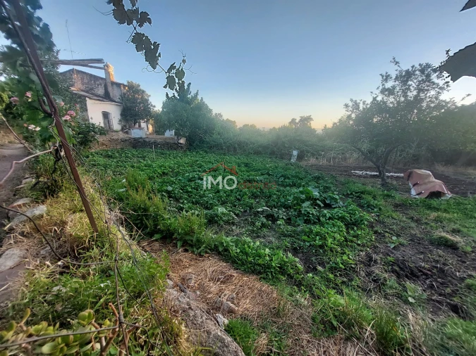 Quinta T3 para Venda em Sé e São Lourenço Foto 8