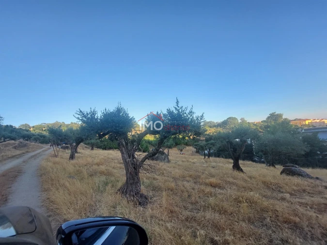 Quinta T3 para Venda em Sé e São Lourenço Foto 16