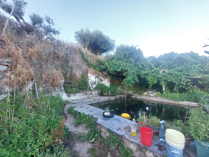 Quinta T3 para Venda em Sé e São Lourenço Foto 19