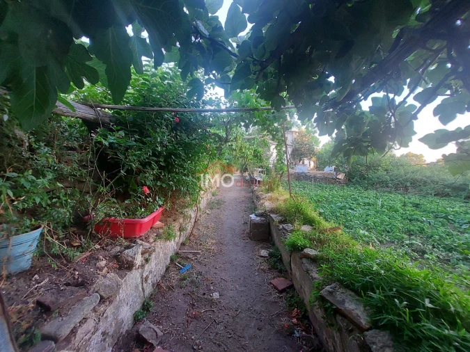Quinta T3 para Venda em Sé e São Lourenço Foto 12