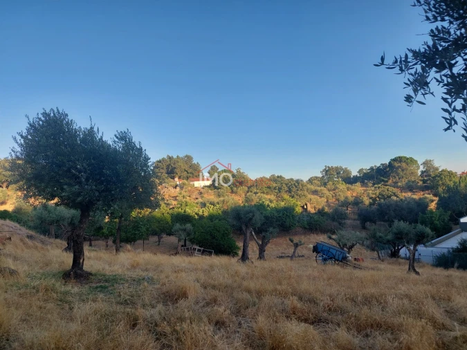 Quinta T3 para Venda em Sé e São Lourenço Foto 10