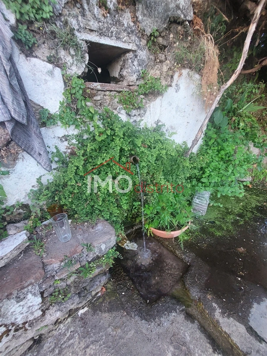 Quinta T3 para Venda em Sé e São Lourenço Foto 20