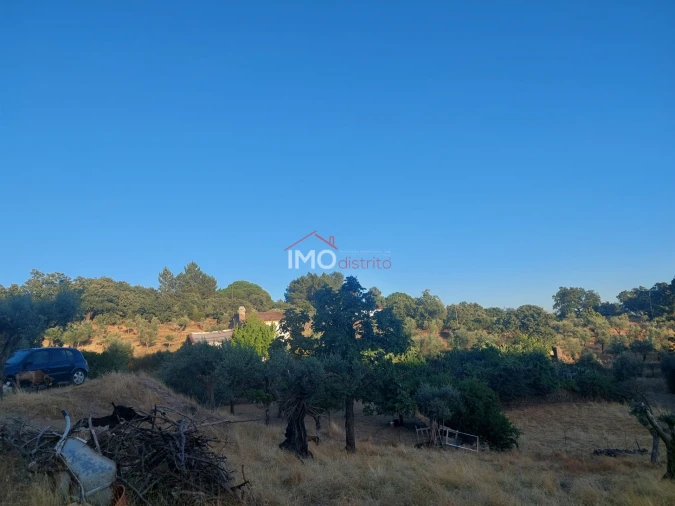 Quinta T3 para Venda em Sé e São Lourenço Foto 9