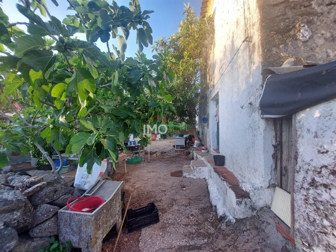 Quinta T3 para Venda em Sé e São Lourenço